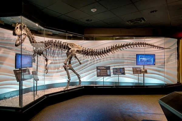 dinosaur on display